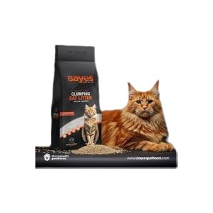 Bayes Premıum Aktif Karbon Kedi Kumu 5 Kg