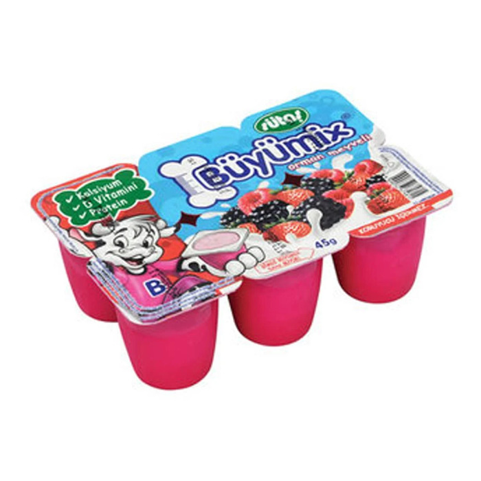 Yoğurt Büyümix Orman Meyveli 6x40 Gr