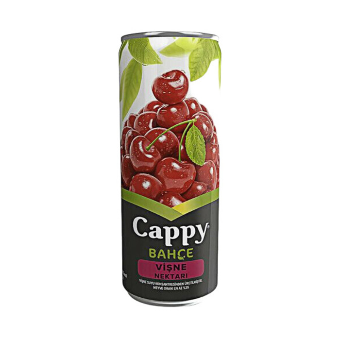 Meyve Suyu Vişne 330 Ml