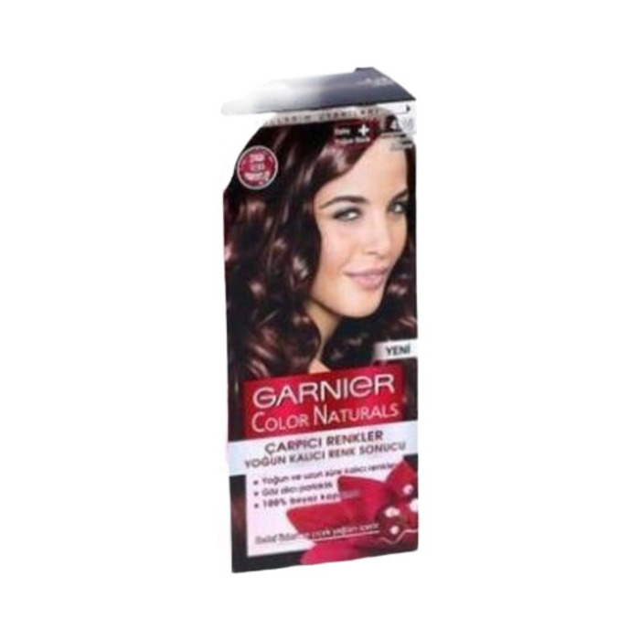 Garnier Saç Boyası Çarpıcı Renkler 4.15 Buzlu Kestane
